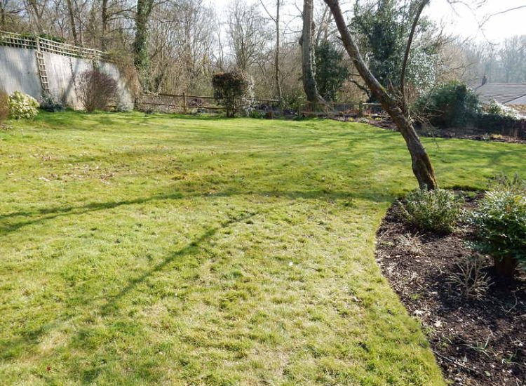 Lawn Drainage Crondall, Hampshire - A substantial lawn area suffering from water ingress from highr ground. Land drainage was installed with drainage trenches re-turfed. The outlet point here was lower ground within a wooded area. Garden Drainage - MDB Landscapes