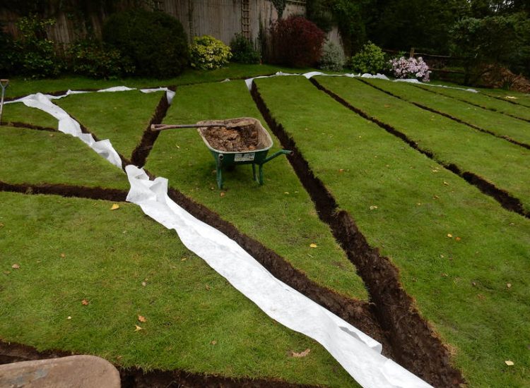 Lawn Drainage Crondall, Hampshire - A substantial lawn area suffering from water ingress from highr ground. Land drainage was installed with drainage trenches re-turfed. The outlet point here was lower ground within a wooded area. Garden Drainage - MDB Landscapes