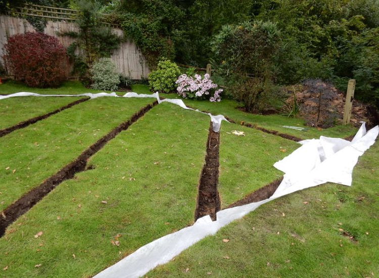 Lawn Drainage Crondall, Hampshire - A substantial lawn area suffering from water ingress from highr ground. Land drainage was installed with drainage trenches re-turfed. The outlet point here was lower ground within a wooded area. Garden Drainage - MDB Landscapes