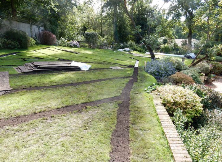 Lawn Drainage Crondall, Hampshire - A substantial lawn area suffering from water ingress from highr ground. Land drainage was installed with drainage trenches re-turfed. The outlet point here was lower ground within a wooded area. Garden Drainage - MDB Landscapes