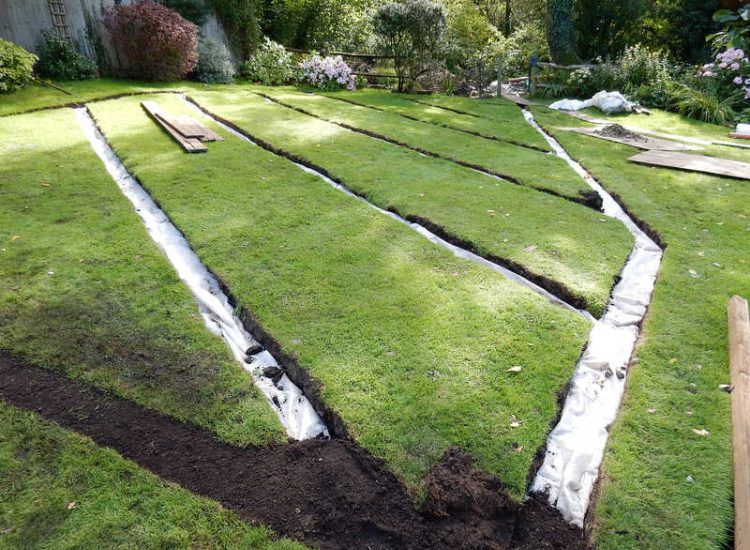 Lawn Drainage Crondall, Hampshire - A substantial lawn area suffering from water ingress from highr ground. Land drainage was installed with drainage trenches re-turfed. The outlet point here was lower ground within a wooded area. Garden Drainage - MDB Landscapes