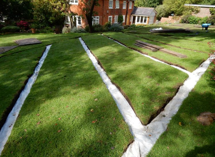Lawn Drainage Crondall, Hampshire - A substantial lawn area suffering from water ingress from highr ground. Land drainage was installed with drainage trenches re-turfed. The outlet point here was lower ground within a wooded area. Garden Drainage - MDB Landscapes