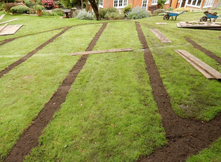 Lawn Drainage Crondall, Hampshire - A substantial lawn area suffering from water ingress from highr ground. Land drainage was installed with drainage trenches re-turfed. The outlet point here was lower ground within a wooded area. Garden Drainage - MDB Landscapes