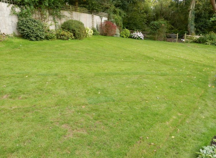 Lawn Drainage Crondall, Hampshire - A substantial lawn area suffering from water ingress from highr ground. Land drainage was installed with drainage trenches re-turfed. The outlet point here was lower ground within a wooded area. Garden Drainage - MDB Landscapes