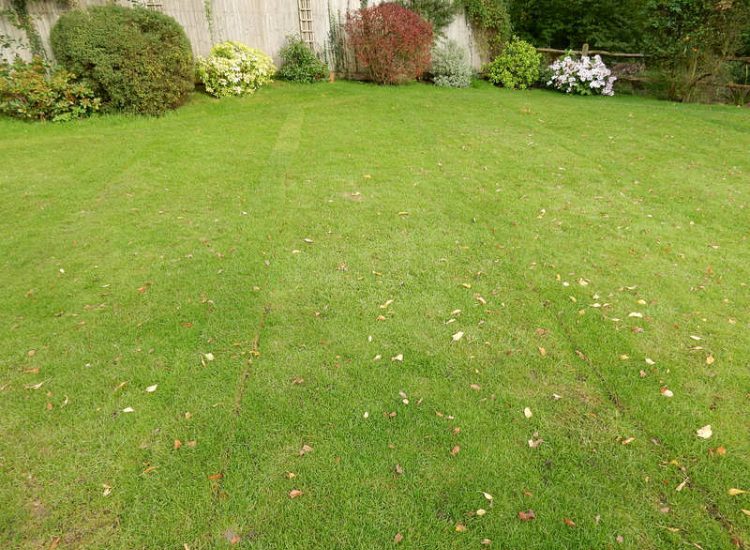 Lawn Drainage Crondall, Hampshire - A substantial lawn area suffering from water ingress from highr ground. Land drainage was installed with drainage trenches re-turfed. The outlet point here was lower ground within a wooded area. Garden Drainage - MDB Landscapes