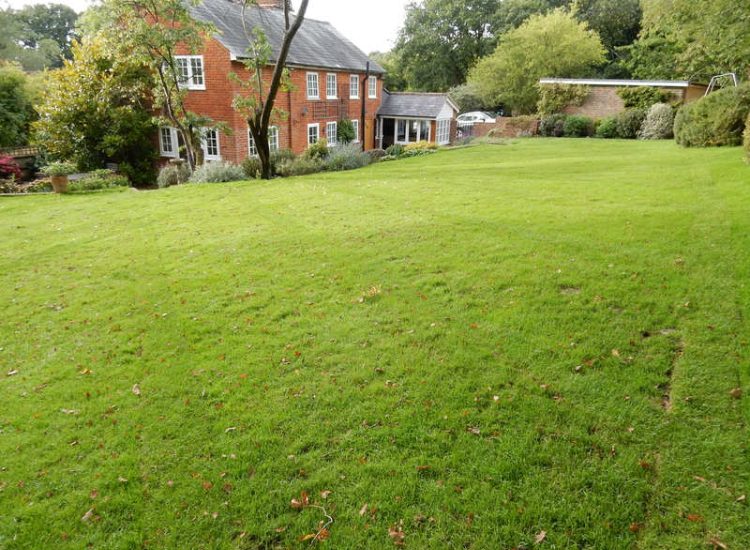 Lawn Drainage Crondall, Hampshire - A substantial lawn area suffering from water ingress from highr ground. Land drainage was installed with drainage trenches re-turfed. The outlet point here was lower ground within a wooded area. Garden Drainage - MDB Landscapes