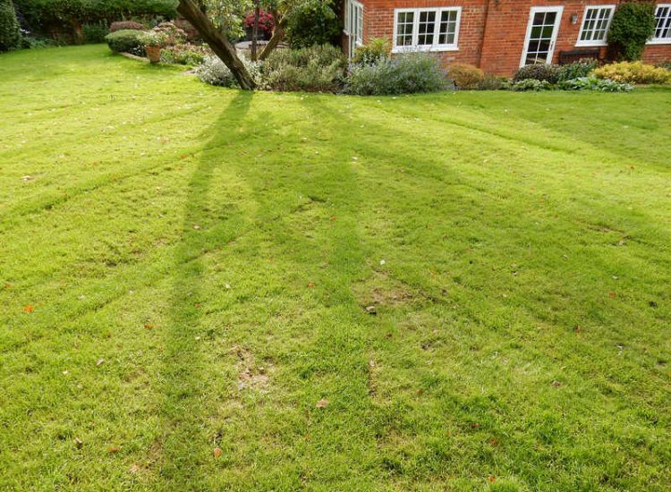 Garden Drainage - MDB Landscapes