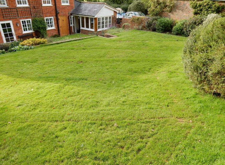 Garden Drainage - MDB Landscapes