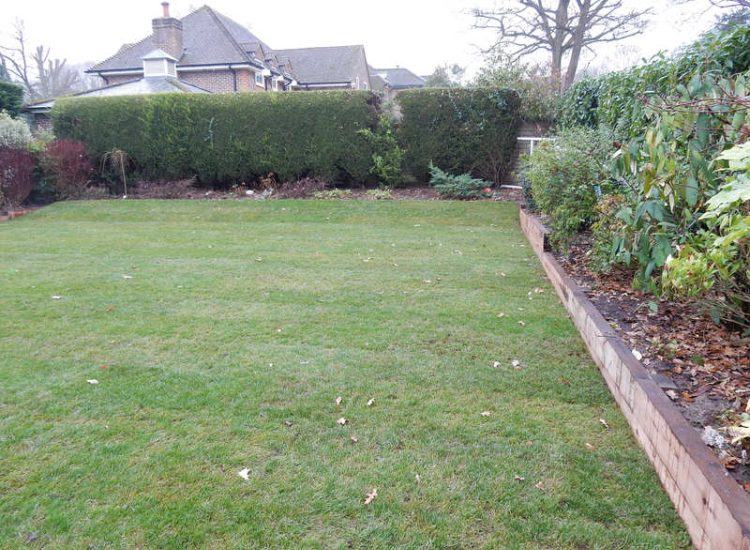 Garden Drainage - MDB Landscapes