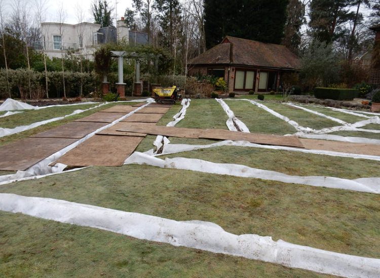 Garden drainage - MDB Landscapes