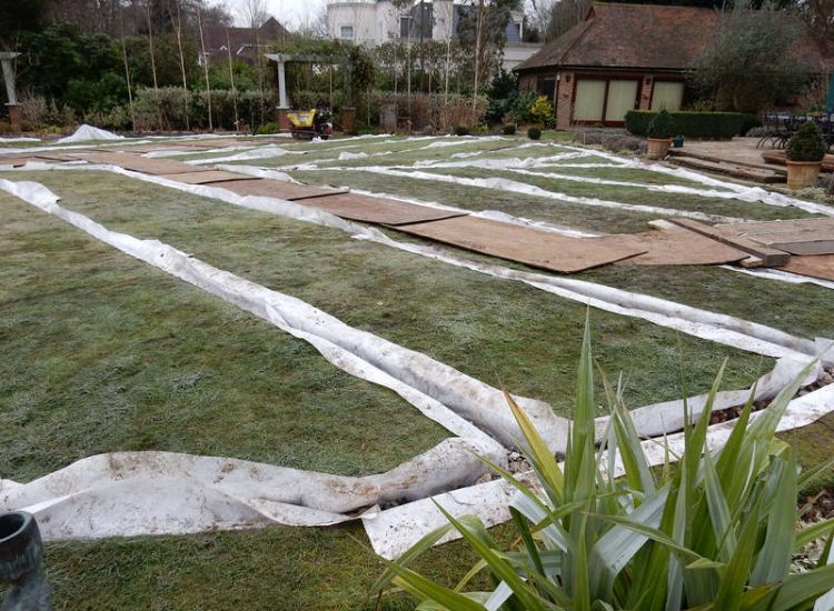 Garden drainage - MDB Landscapes