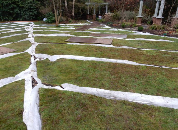 Garden drainage - MDB Landscapes