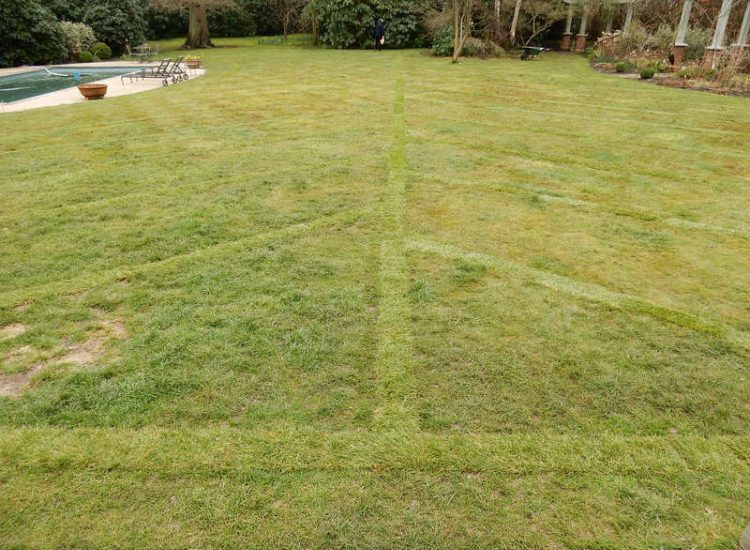 Garden drainage - MDB Landscapes