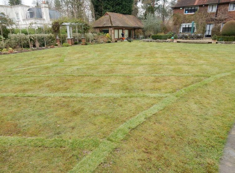 Garden drainage - MDB Landscapes