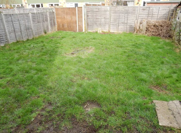 Lawn Drainage Cove, Farnborough, Hampshire - A small confined rear lawn greatly improved with land drainage. Garden drainage - MDB Landscapes
