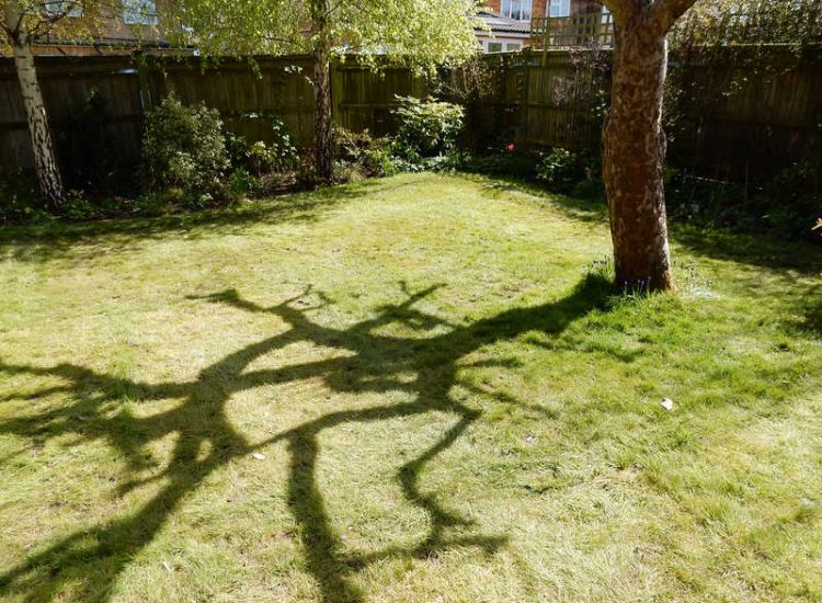 Garden Drainage Great Bookham, Leatherhead, Surrey - An ongoing issue with excessive water finding its way into the cellar of this clients property puting pressure on already installed sump pumps. Perimeter drainage was installed to catch and divert the flow of water helping to reduce the required constant use of the installed pumps. Garden Drainage - MDB Landscapes