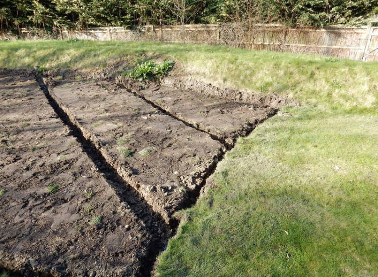 Lawn Drainage Hersham, Surrey - Building works had left an area of the garden in poor state, compacted with buried waste materials. There was also an added issue of Constant water ingress from an unknown source. Levels were reduced first, drainage installed using the river as an outlet source, topsoil spread and grass seeded on completion. Garden Drainage - MDB Landscapes