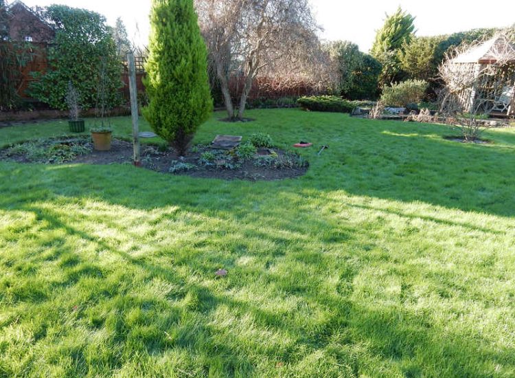 Garden and Lawn Drainage Little Bookham, Leatherhead, Surrey - Extensive land drainage was required through out this garden prior commencement of other landscaping projects. Garden Drainage - MDB Landscapes