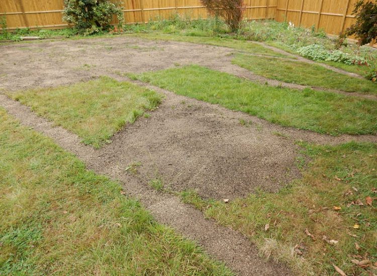 Garden Drainage - MDB Landscapes