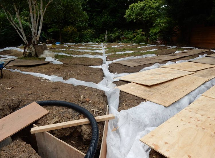 Garden and lawn Drainage Highgate, London - A drainage solution was proposed and implemted for this client prior to other landscaping works. Garden Drainage - MDB Landscapes