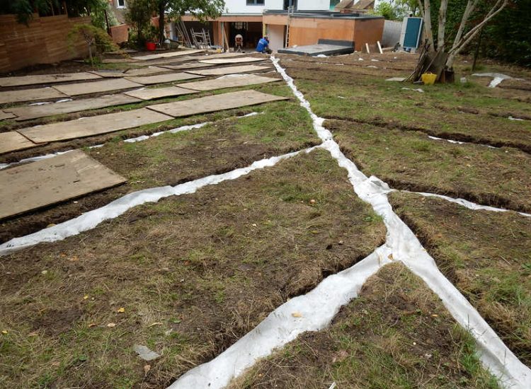 Garden and lawn Drainage Highgate, London - A drainage solution was proposed and implemted for this client prior to other landscaping works. Garden Drainage - MDB Landscapes