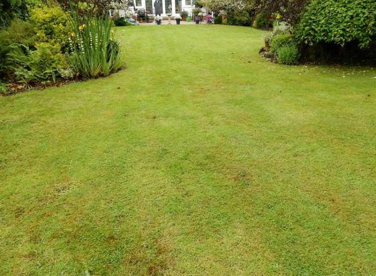 Garden and Lawn Drainage New Malden, Surrey - The lowest side of this garden was prone to flooding due to the lie of the land. Perimeter drainage was installed leading to a sump and pump. Garden Drainage - MDB Landscapes