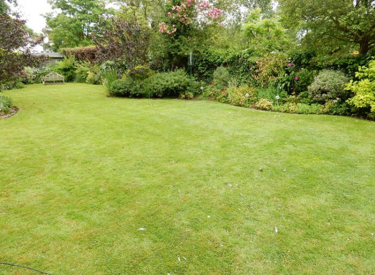 Garden and Lawn Drainage New Malden, Surrey - The lowest side of this garden was prone to flooding due to the lie of the land. Perimeter drainage was installed leading to a sump and pump. Garden Drainage - MDB Landscapes