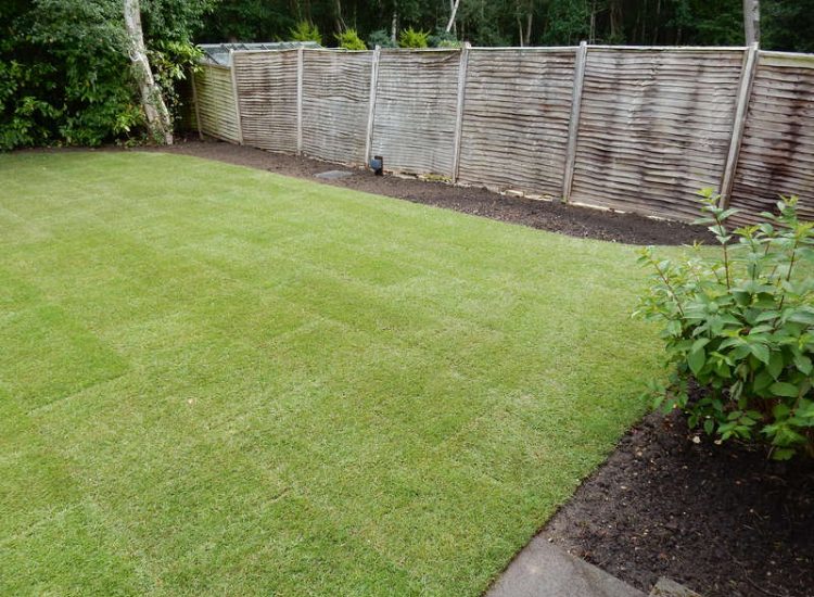 Garden Drainage - MDB Landscapes