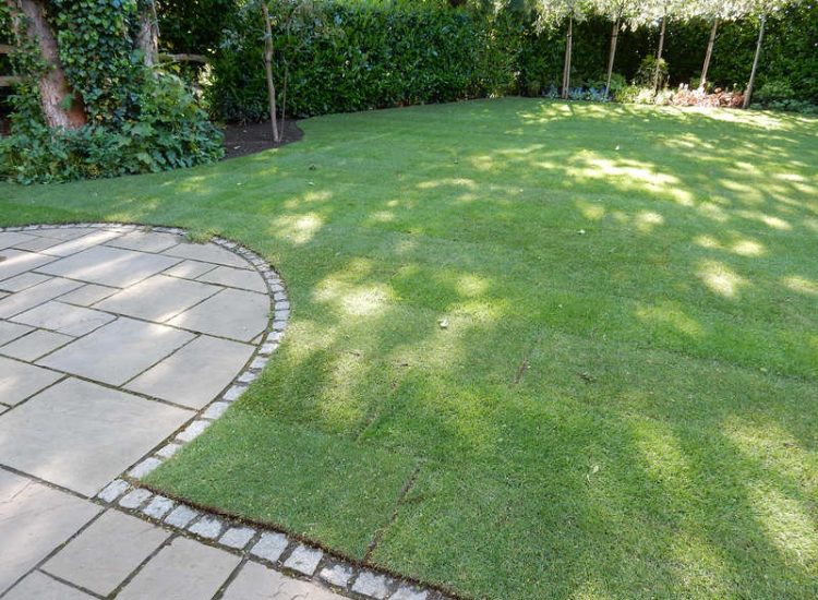 Garden Drainage and New Lawns Claygate, Surrey - A poor soil medium with bad drainage left this garden very difficault to manage and use. Levels were reduced first allowing for the installation of a drainage sytsem followed by a new lawn laid upon new imported soil. Other works here included play areas for the children, tree protection and the raising of Laural hedging due to subsidence. Garden Drainage - MDB Landscapes