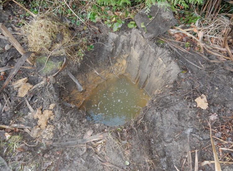 Garden Drainage and New High Specification Lawn Guildford, Surrey - To achieve the requirement of a new lawn extensive drainage was installed via the use of a sump and pump, lawn area was raised with Oak sleeper edging and finally a new lawn laid upon a high end rootzone medium. Garden drainage - MDB Landscapes