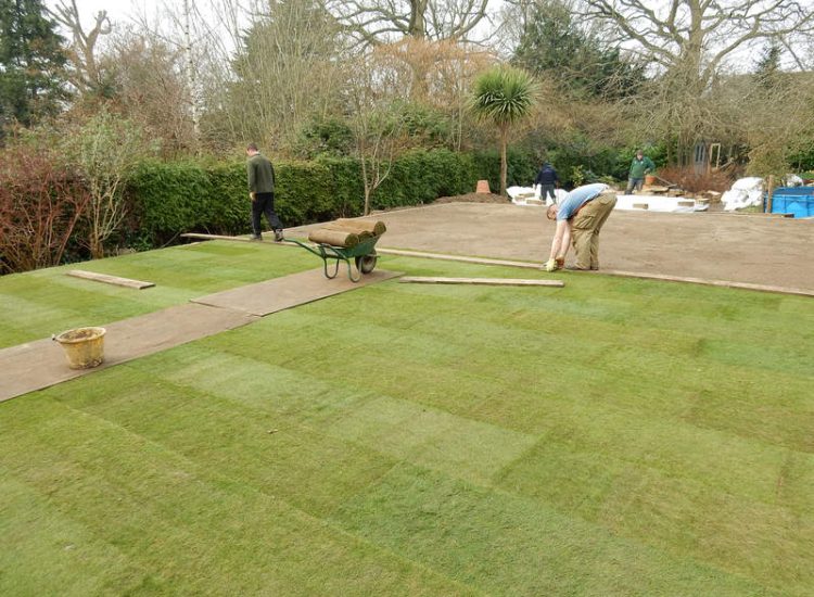Garden Drainage and New High Specification Lawn Guildford, Surrey - To achieve the requirement of a new lawn extensive drainage was installed via the use of a sump and pump, lawn area was raised with Oak sleeper edging and finally a new lawn laid upon a high end rootzone medium. Garden drainage - MDB Landscapes