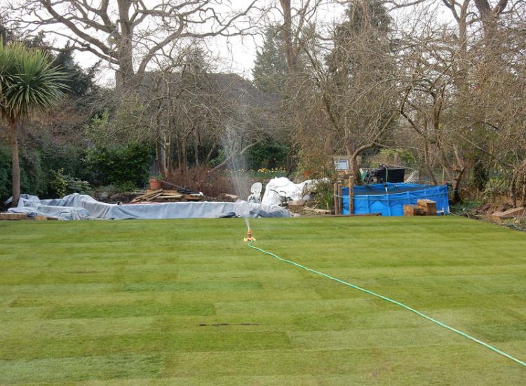 Garden Drainage and New High Specification Lawn Guildford, Surrey - To achieve the requirement of a new lawn extensive drainage was installed via the use of a sump and pump, lawn area was raised with Oak sleeper edging and finally a new lawn laid upon a high end rootzone medium. Garden drainage - MDB Landscapes