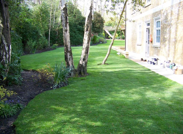 Lawn Drainage Cobham, Surrey - A poor soil medium for both front and rear gardens left lawn areas very water logged and difficult to manage. Extensive land drainage was installed, new rootzone medium imported in and lawns re-turfed. Garden Drainage - MDB Landscapes