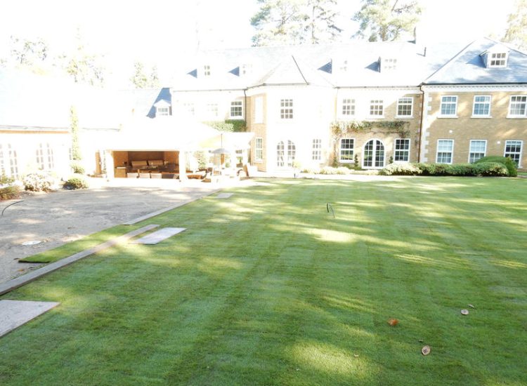 Lawn Drainage Cobham, Surrey - A poor soil medium for both front and rear gardens left lawn areas very water logged and difficult to manage. Extensive land drainage was installed, new rootzone medium imported in and lawns re-turfed. Garden Drainage - MDB Landscapes