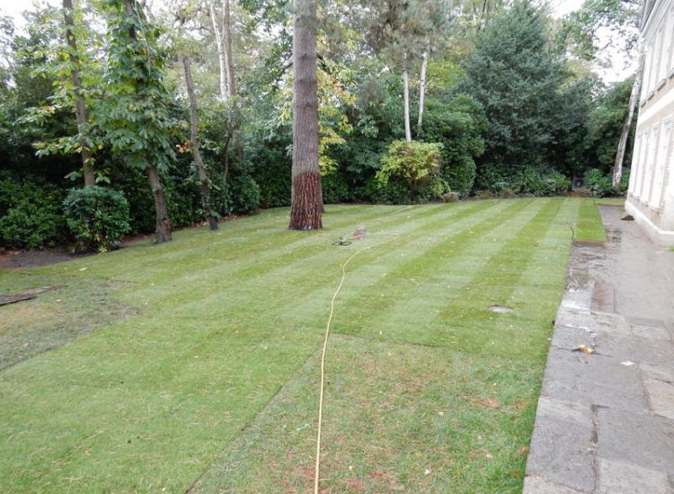 Garden Drainage - MDB Landscapes