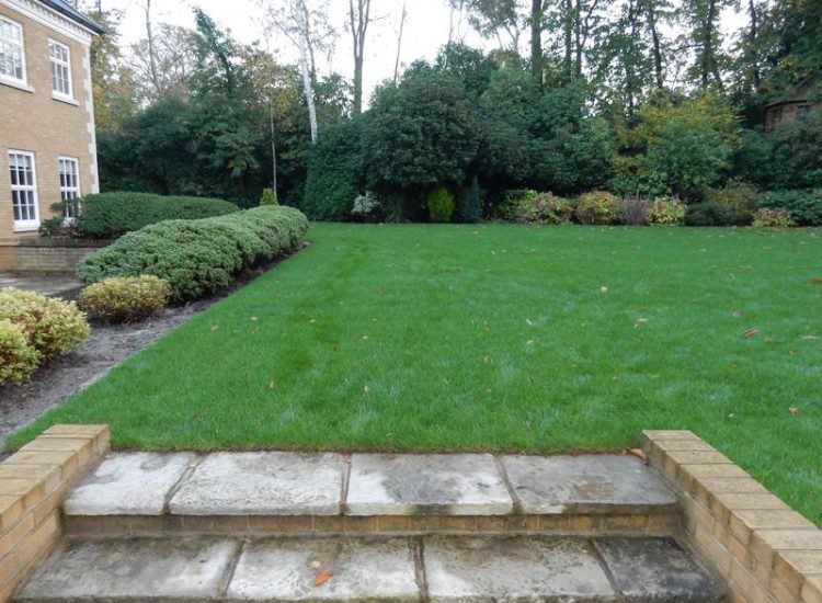 Garden Drainage - MDB Landscapes