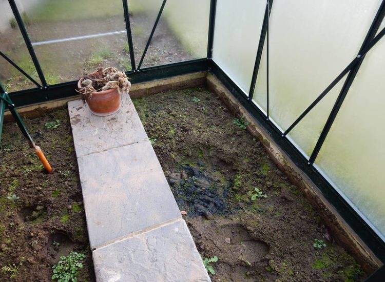Garden and Lawn Drainage Wokingham, Berkshire - Unusable flooded planting areas, a flooded glass house and a very wet lawn prevented this client from enjoying their garden. Drainage was installed running through the glass house as well. Garden Drainage - MDB Landscapes