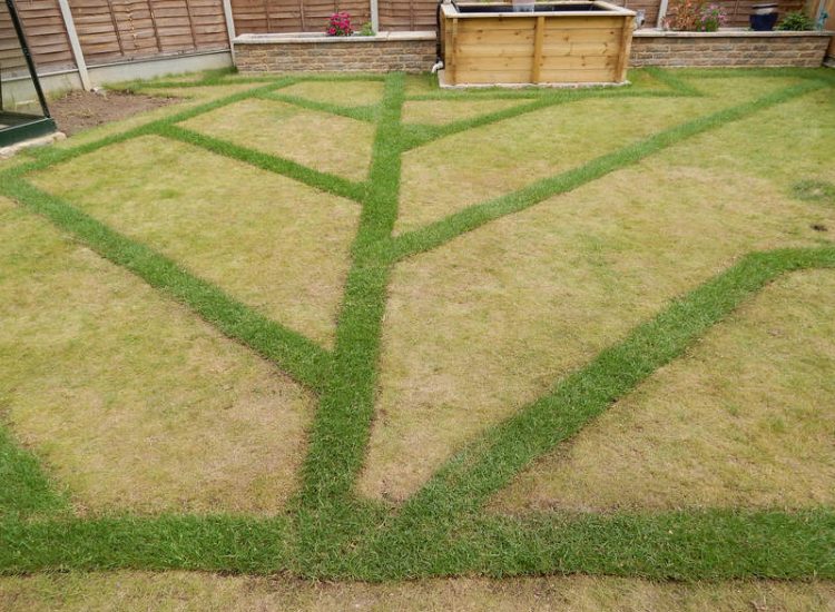 Garden Drainage - MDB Landscapes
