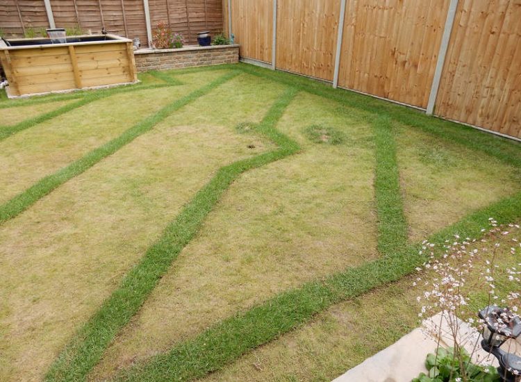 Garden Drainage - MDB Landscapes