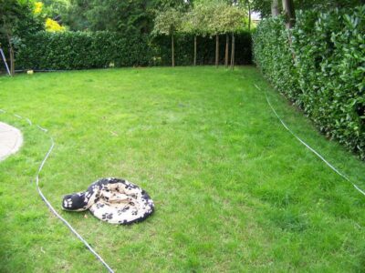 Turfing in Claygate, Surrey - Creation of a new lawn after issues with drainage and levels were dealt with first. Lawns & Turfing - MDB Landscapes