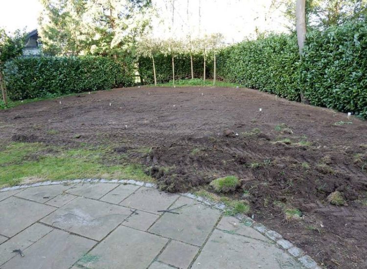 Turfing in Claygate, Surrey - Creation of a new lawn after issues with drainage and levels were dealt with first. Lawns & Turfing - MDB Landscapes