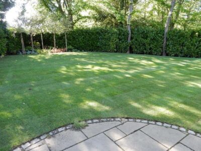 Turfing in Claygate, Surrey - Creation of a new lawn after issues with drainage and levels were dealt with first. Lawns & Turfing - MDB Landscapes