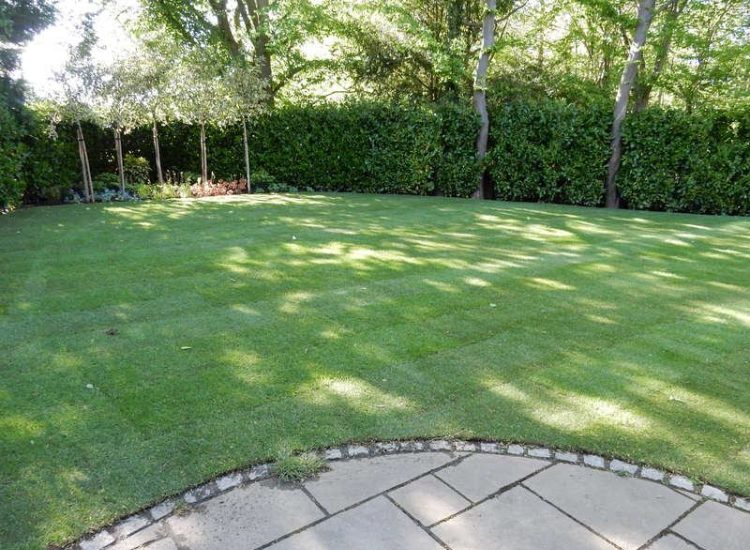 Turfing in Claygate, Surrey - Creation of a new lawn after issues with drainage and levels were dealt with first. Lawns & Turfing - MDB Landscapes
