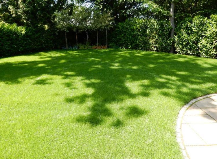 Lawns & Turfing - MDB Landscapes