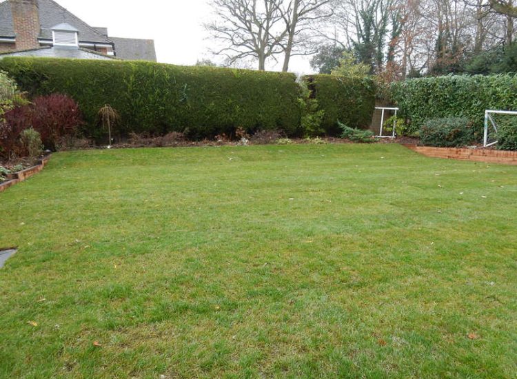 New Lawn in East Horsley, Leatherhead, Surrey - Drainage issues dealt with first here followed by the construction of a new lawn using a Rootzone medium. Lawns & Turfing - MDB Landscapes