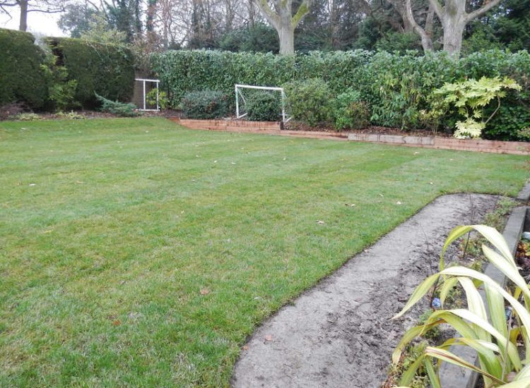 Lawns & Turfing - MDB Landscapes