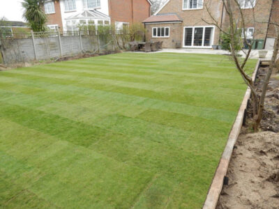 Lawns and Drainage in Guildford, Surrey - Construction of a high grade lawn using a rootzone soil medium after drainage was installed and areas raised. Lawns & Turfing - MDB Landscapes