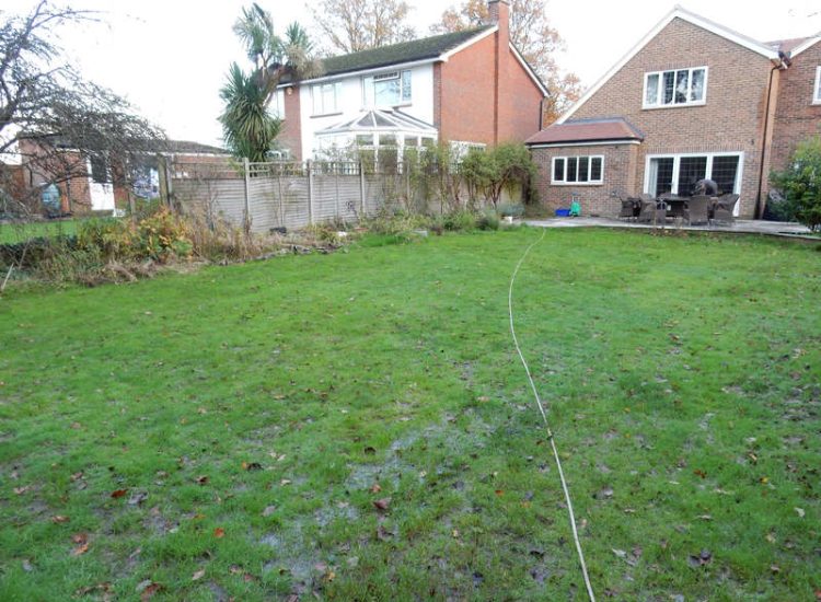Lawns and Drainage in Guildford, Surrey - Construction of a high grade lawn using a rootzone soil medium after drainage was installed and areas raised. Lawns & Turfing - MDB Landscapes