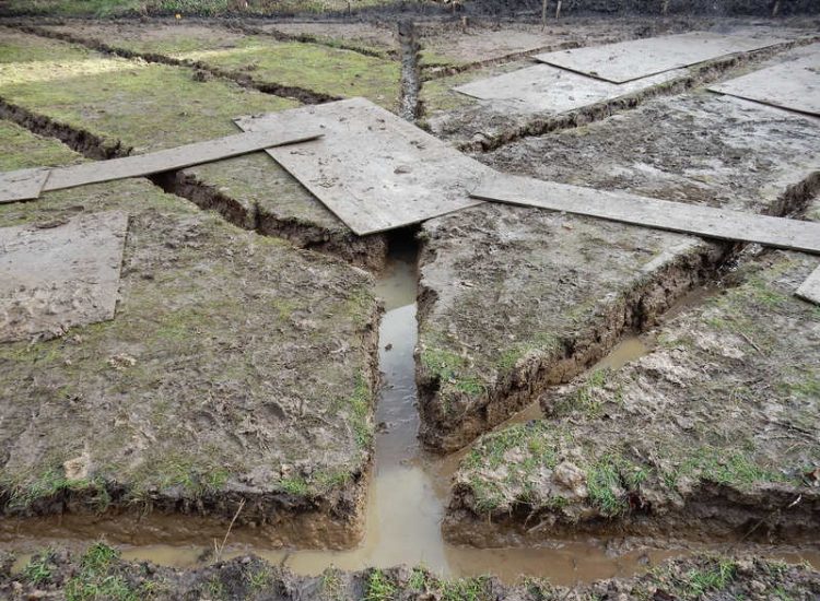 Lawns and Drainage in Guildford, Surrey - Construction of a high grade lawn using a rootzone soil medium after drainage was installed and areas raised. Lawns & Turfing - MDB Landscapes