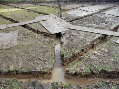 Lawns and Drainage in Guildford, Surrey - Construction of a high grade lawn using a rootzone soil medium after drainage was installed and areas raised. Lawns & Turfing - MDB Landscapes